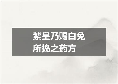 紫皇乃赐白兔所捣之药方