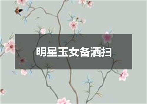 明星玉女备洒扫