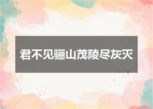 君不见骊山茂陵尽灰灭