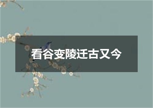 看谷变陵迁古又今