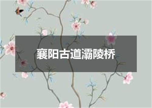襄阳古道灞陵桥