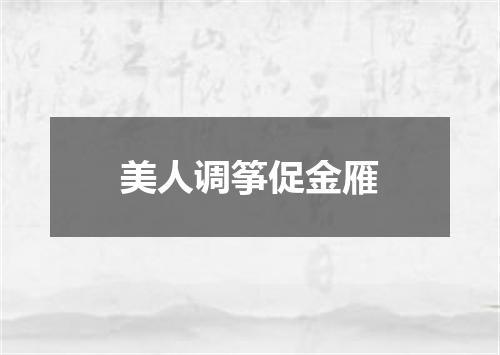 美人调筝促金雁