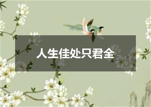 人生佳处只君全