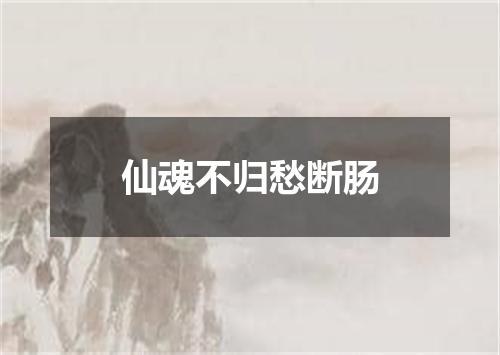 仙魂不归愁断肠