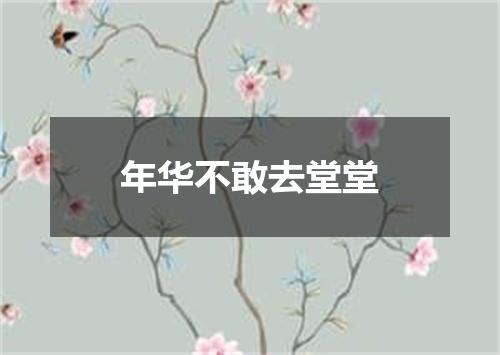 年华不敢去堂堂