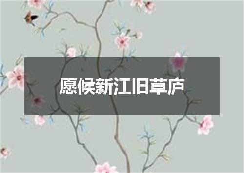 愿候新江旧草庐