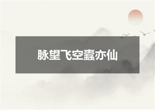 脉望飞空蠹亦仙