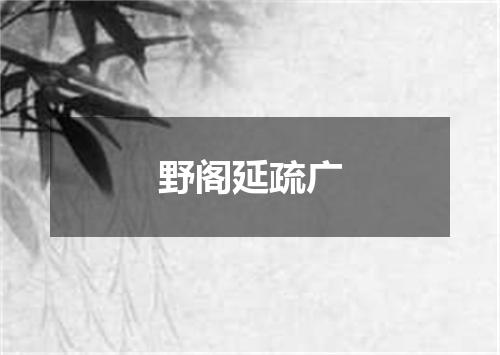 野阁延疏广