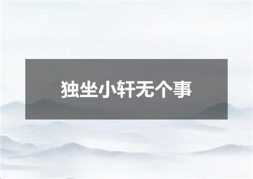 独坐小轩无个事