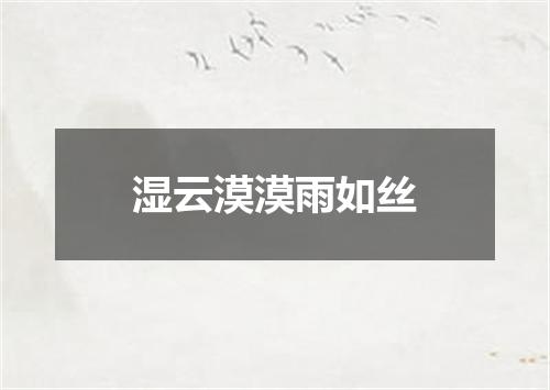 湿云漠漠雨如丝