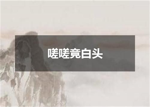 嗟嗟竟白头