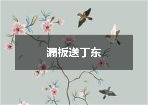 漏板送丁东