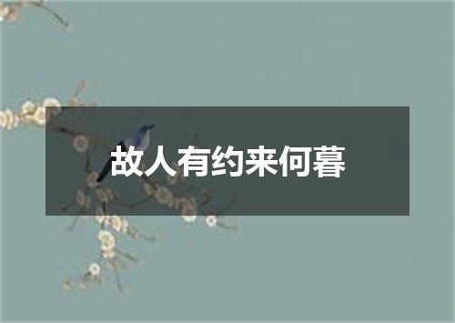 故人有约来何暮