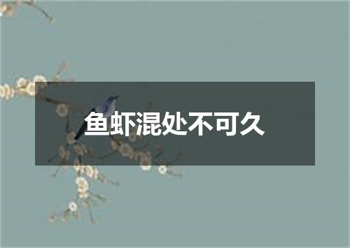 鱼虾混处不可久