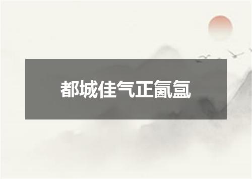 都城佳气正氤氲