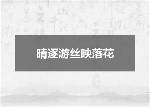 晴逐游丝映落花
