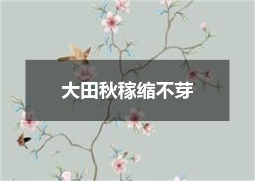 大田秋稼缩不芽