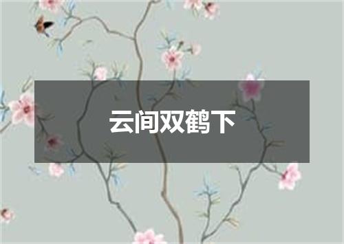 云间双鹤下
