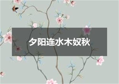 夕阳连水木奴秋