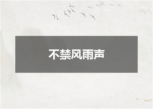 不禁风雨声