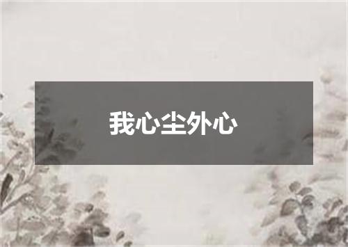 我心尘外心