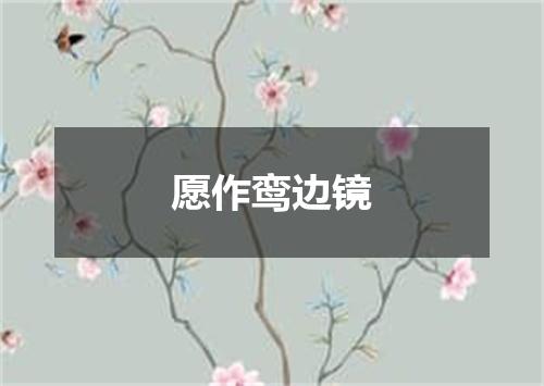 愿作鸾边镜
