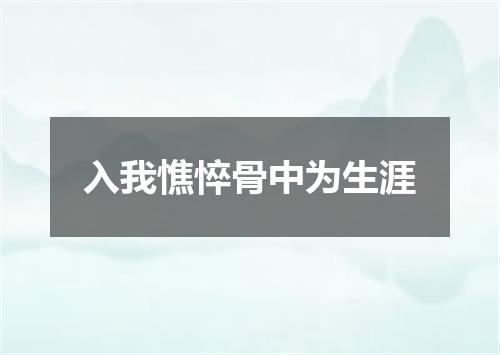 入我憔悴骨中为生涯