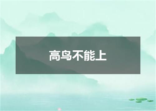 高鸟不能上