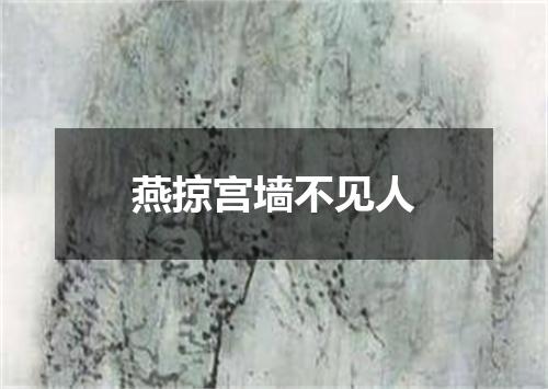燕掠宫墙不见人