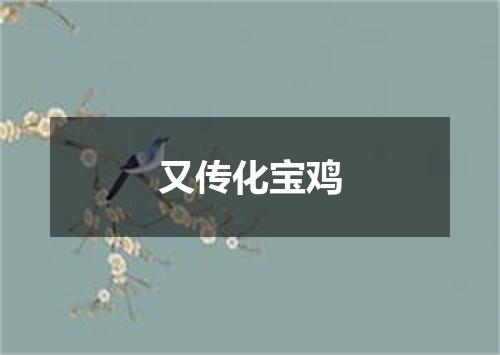 又传化宝鸡