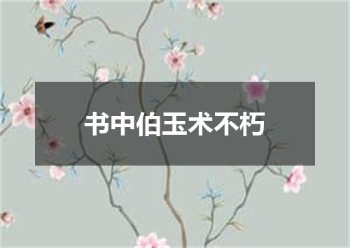 书中伯玉术不朽