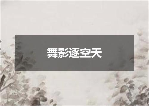 舞影逐空天