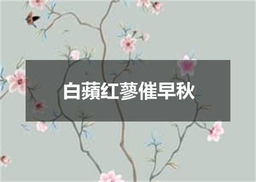白蘋红蓼催早秋