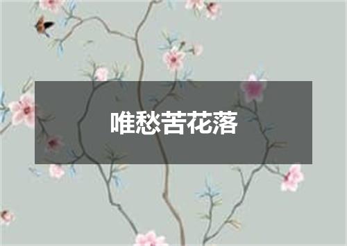 唯愁苦花落