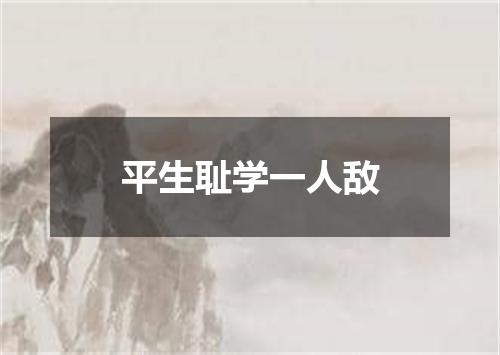 平生耻学一人敌