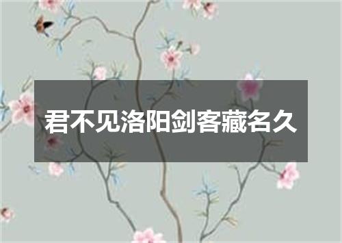 君不见洛阳剑客藏名久