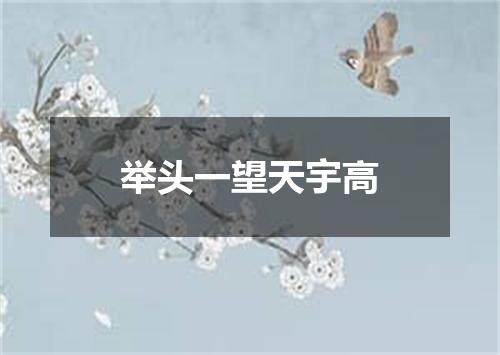 举头一望天宇高