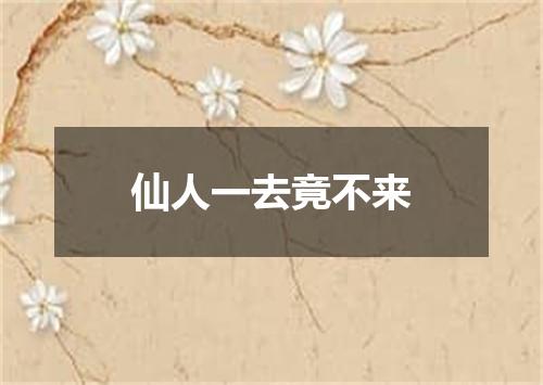 仙人一去竟不来