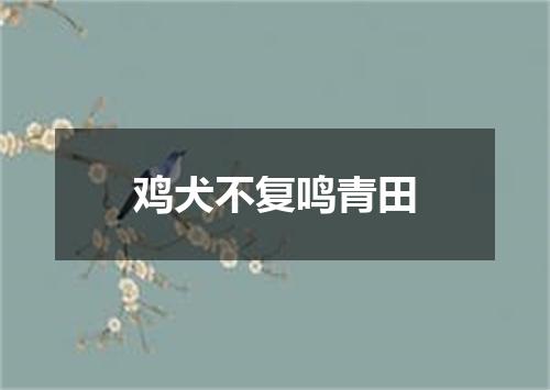 鸡犬不复鸣青田