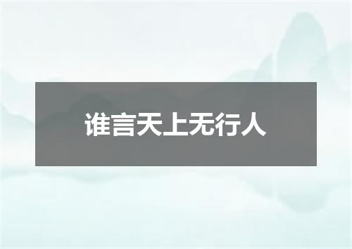 谁言天上无行人