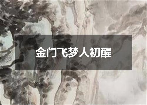 金门飞梦人初醒