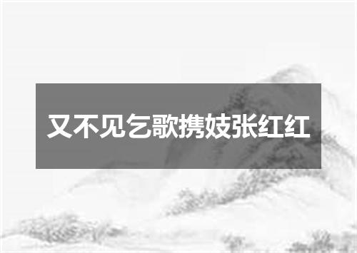 又不见乞歌携妓张红红