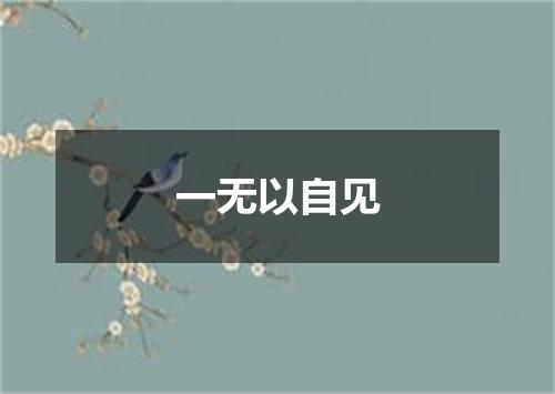 一无以自见