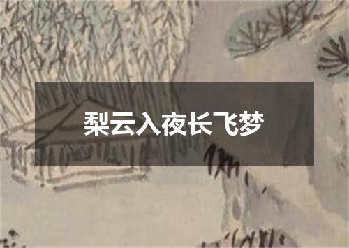 梨云入夜长飞梦
