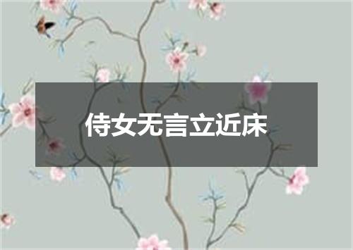 侍女无言立近床