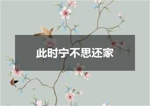 此时宁不思还家