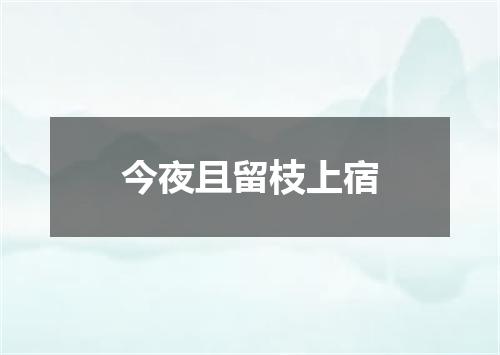 今夜且留枝上宿