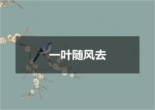 一叶随风去