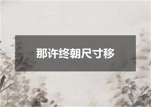 那许终朝尺寸移