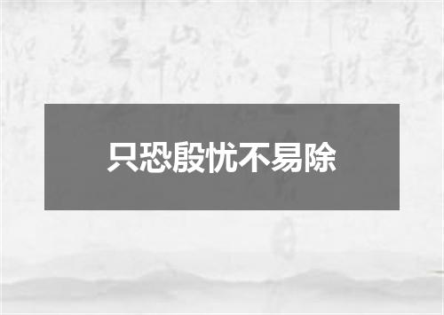 只恐殷忧不易除